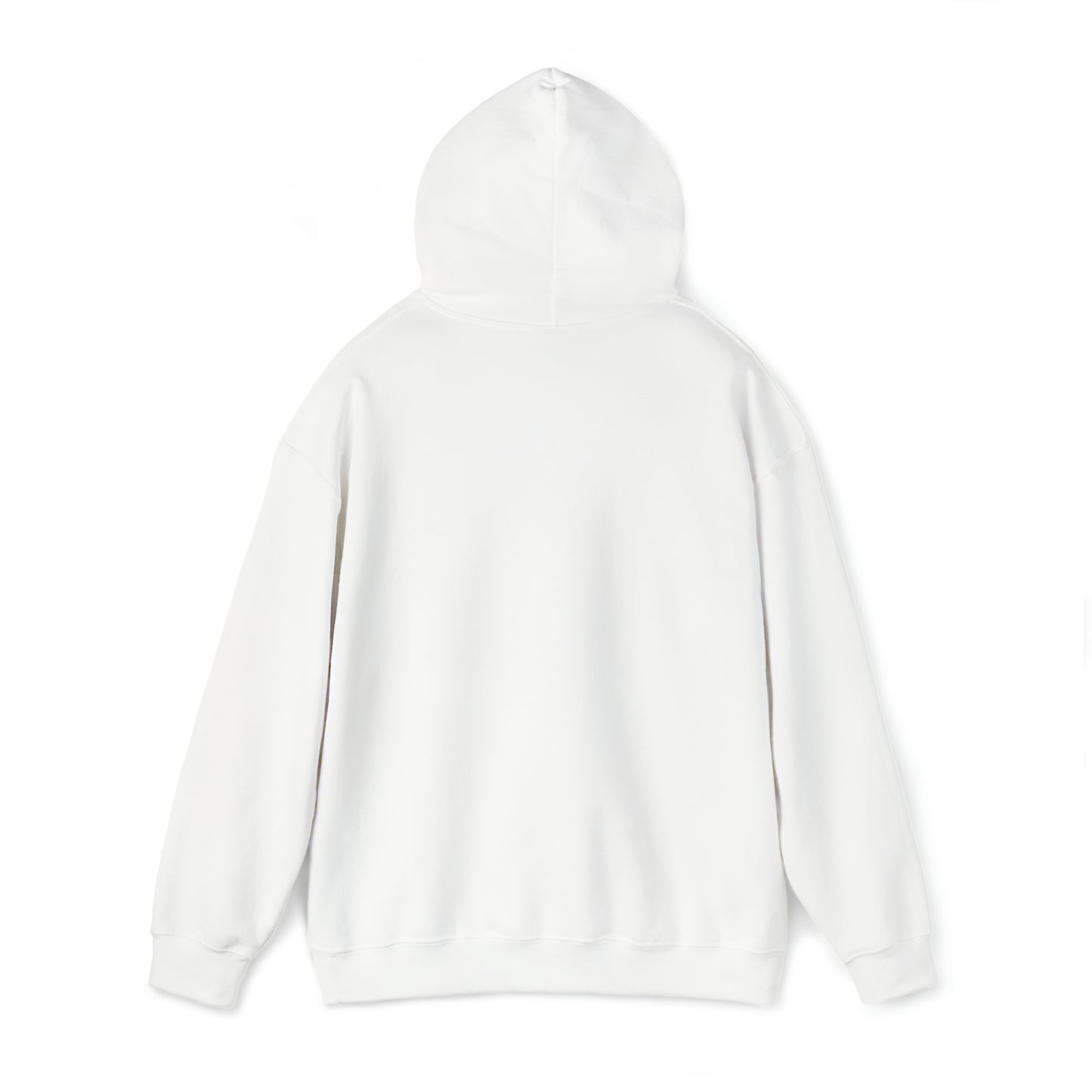 Dillon Brown no design on back Hooded Sweatshirt